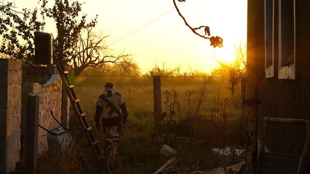донецк мужчина на поле с собакой