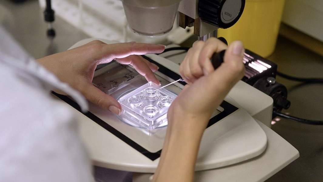 Сотрудница центра занимается оплодотворением яйцеклетки в лабораторных условиях в научном центре акушерства, гинекологии и перинатологии