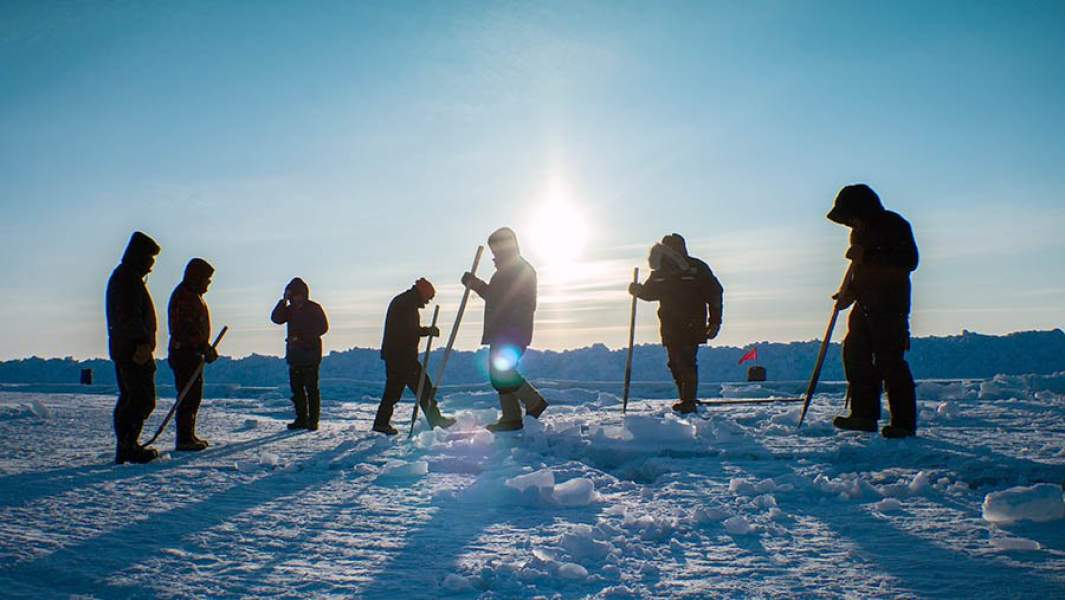 экспедиция антарктида