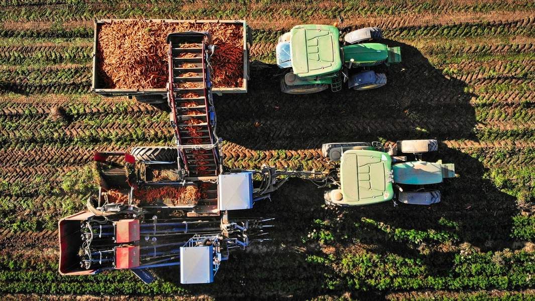 Морковоуборочный комбайн