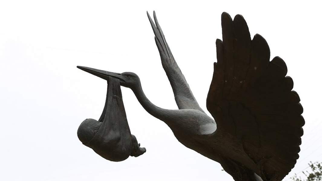 Скульптура аиста с младенцем у перинатального центра. 