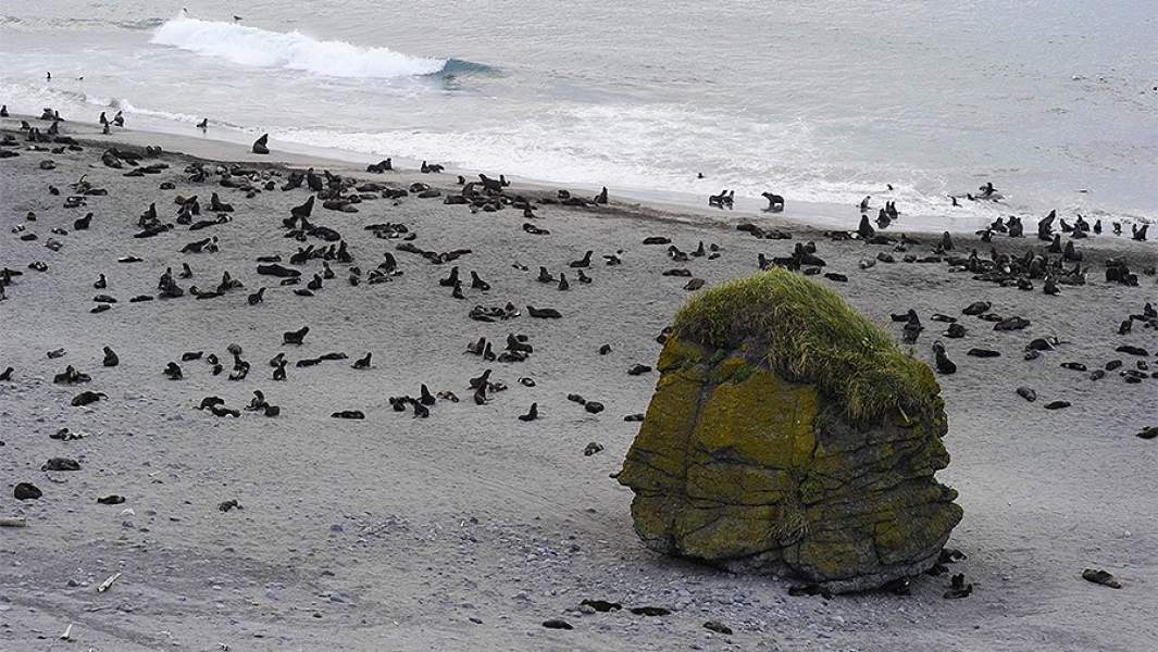 никольское командорские острова