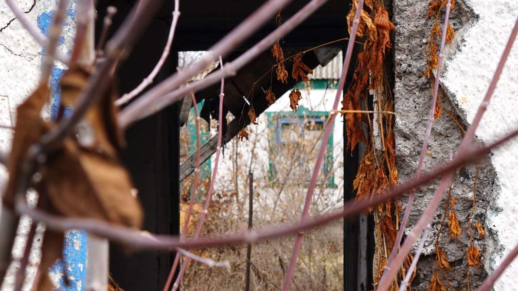 Дом в серой зоне