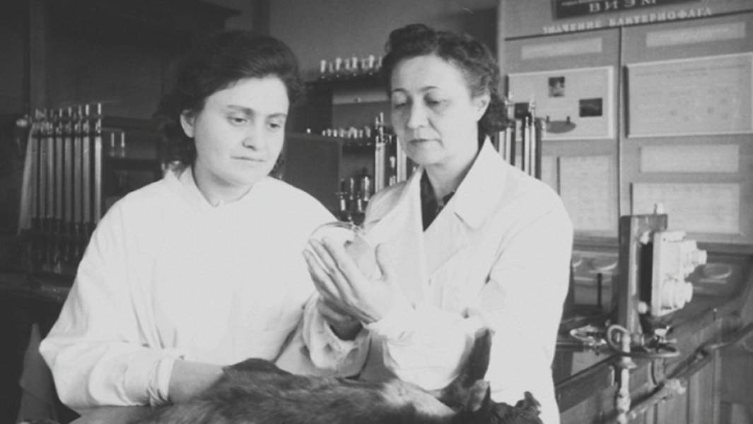 Зинаида Ермольева (справа) за работой