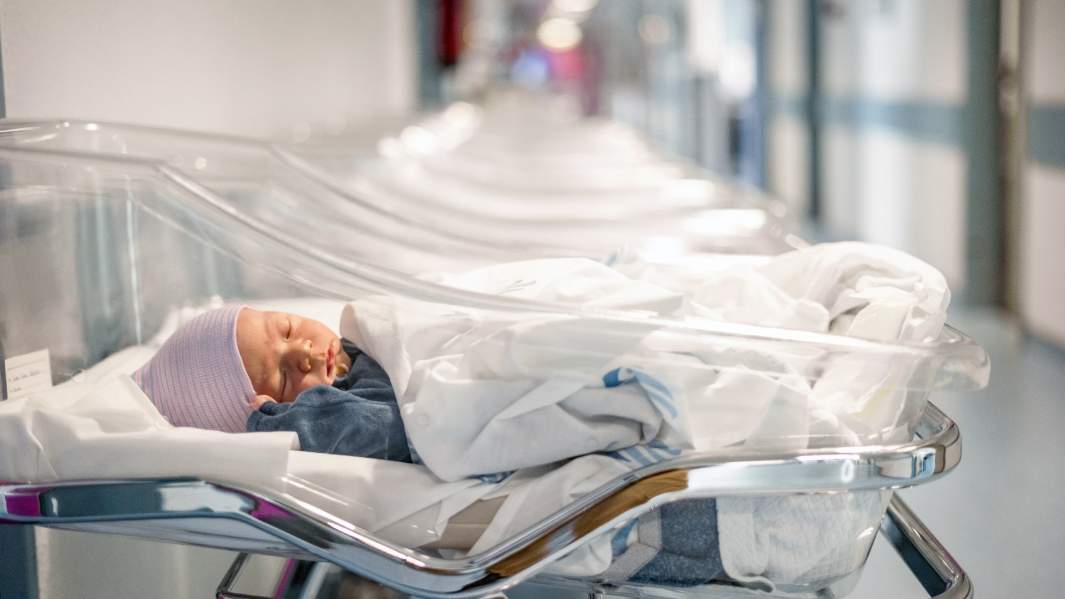 Брачный уговор: как чиновники решили всех переженить