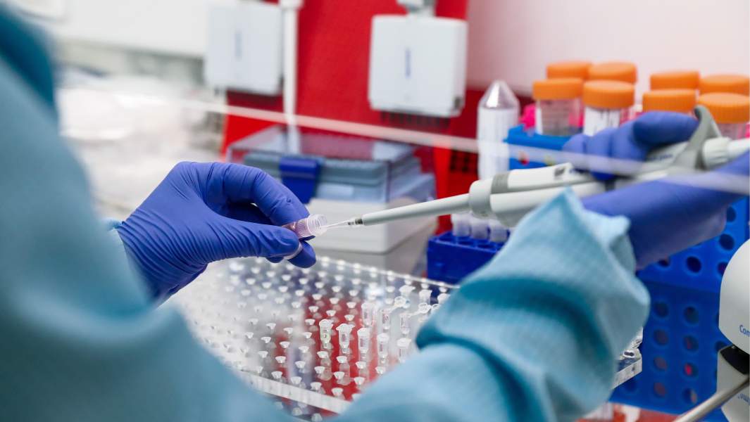 днк идентификация