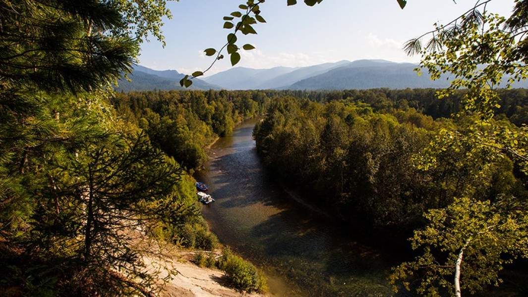 Виды Байкальского государственного природного биосферного заповедника в поселке Танхой