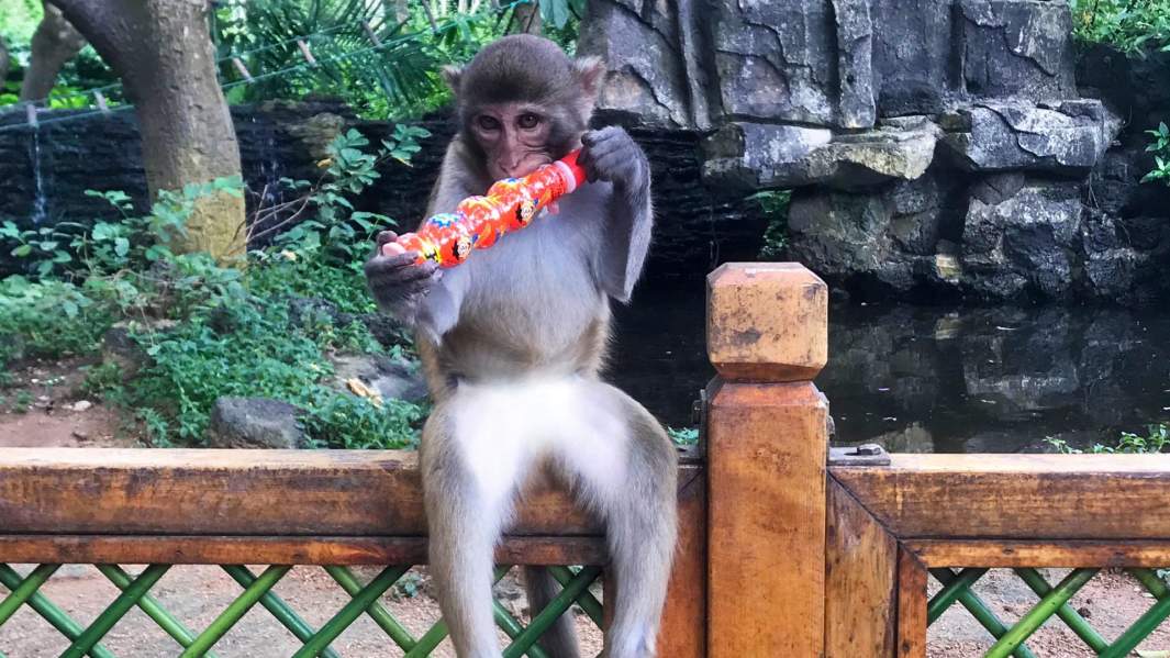 Остров Хайнань