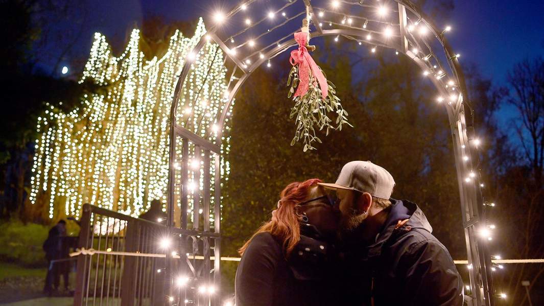 Поцелуй под омелой