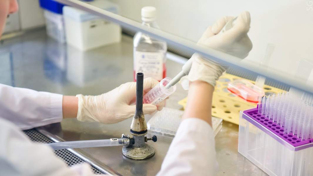 Взятие клеток для импланта