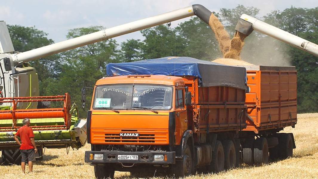 Уборка озимой пшеницы на поле в Усть-Лабинском районе Краснодарского края