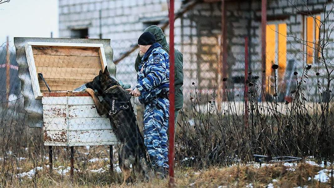 Сотрудники правоохранительных органов со служебной собакой во время обысков у коттеджа в поселке Химози, где прошла спецоперация по задержанию многодетного отца, которого подозревают в сексуальном насилии над дочерью