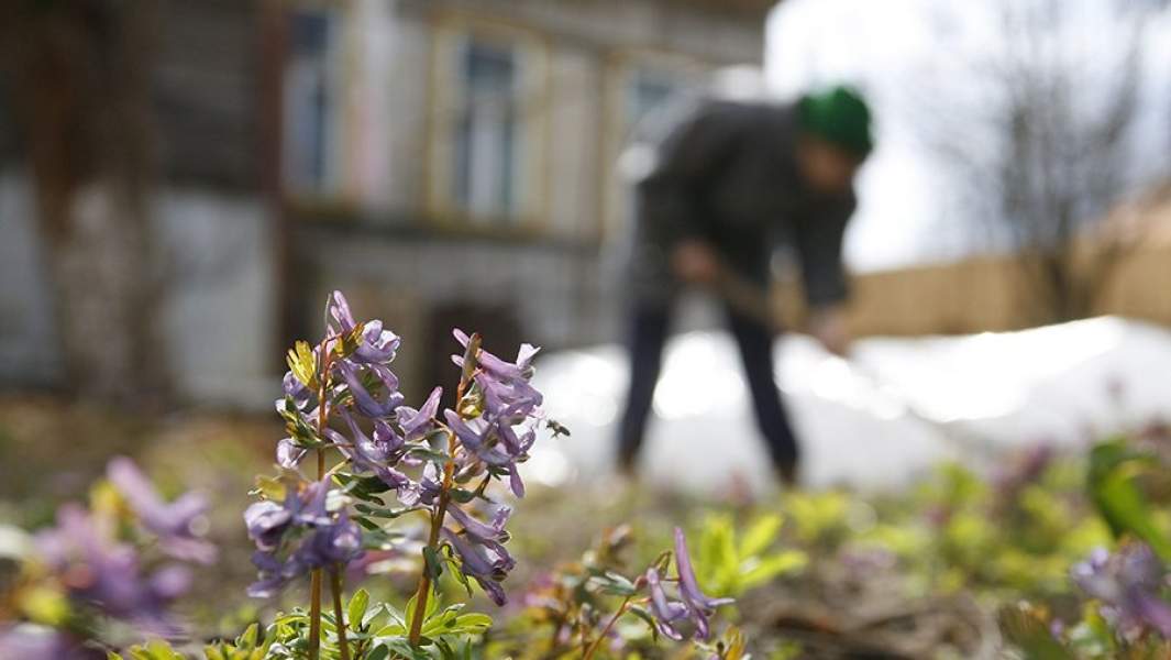 Работа в огороде 