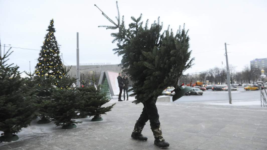 Елочный базар