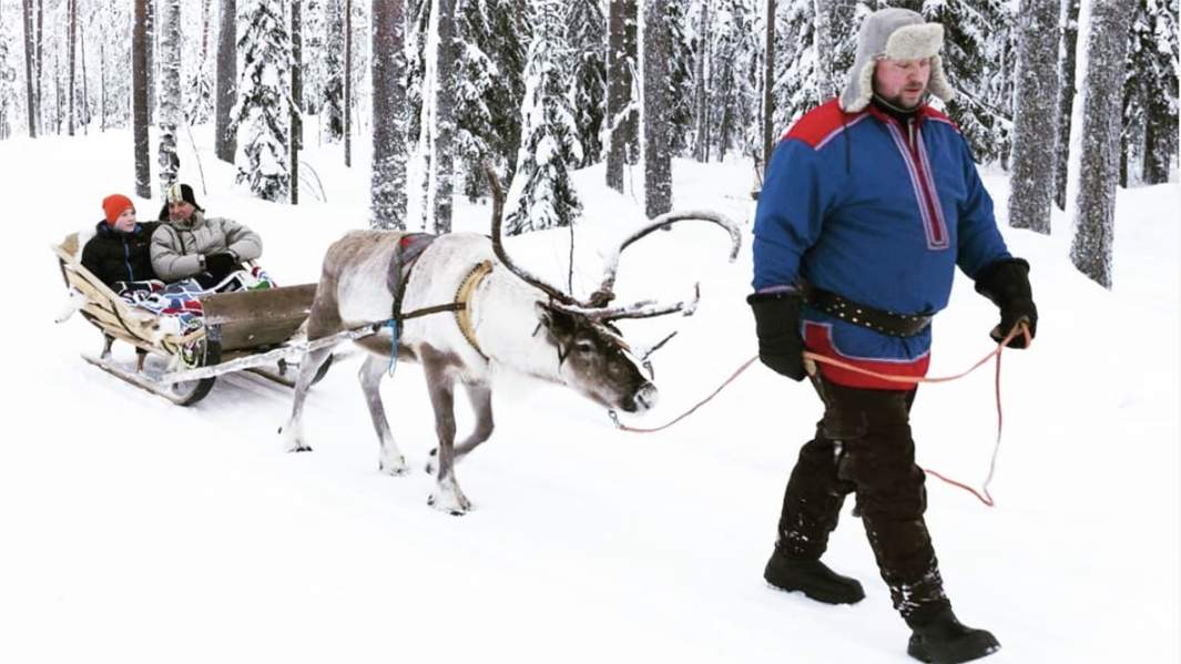 Сафари с оленями в парке «Рануа»