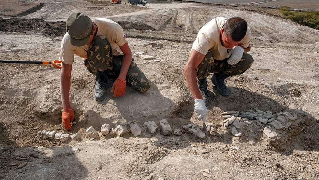 Cкелет цетотерия, найденный во время строительства подходов к Крымскому мосту