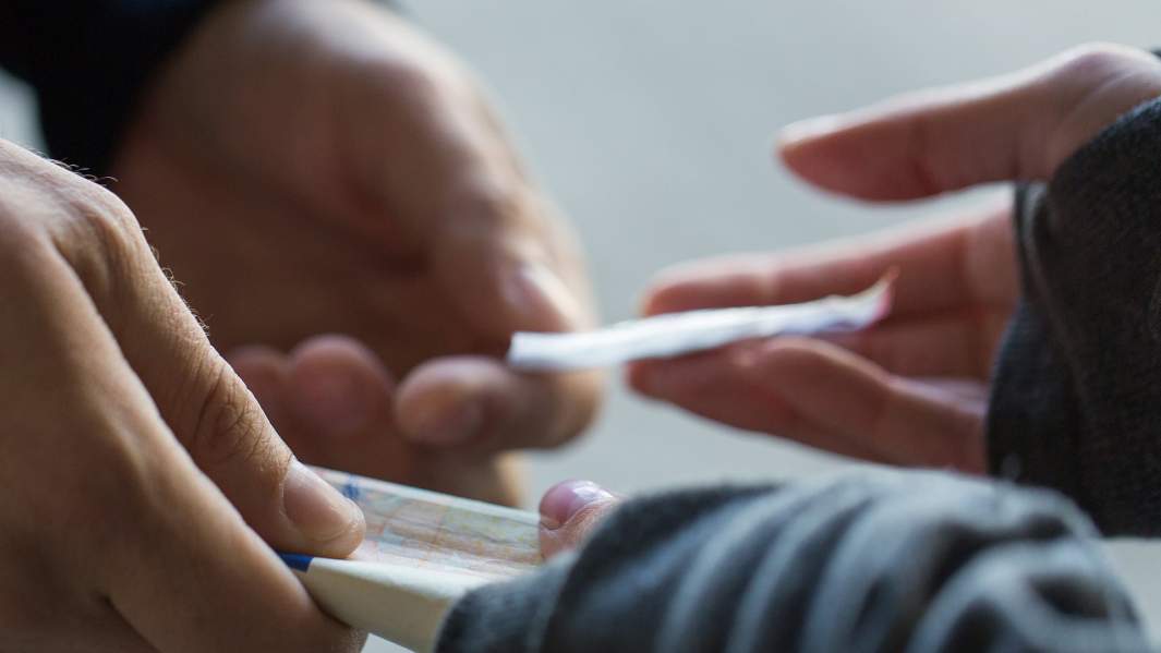 Либо плохо либо никак: борьбу с наркопиаром в интернете узаконят