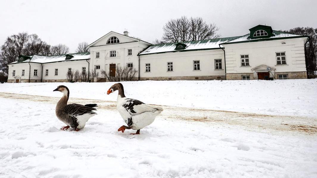 Музей-усадьба Л.Н. Толстого Ясная Поляна в Тульской области