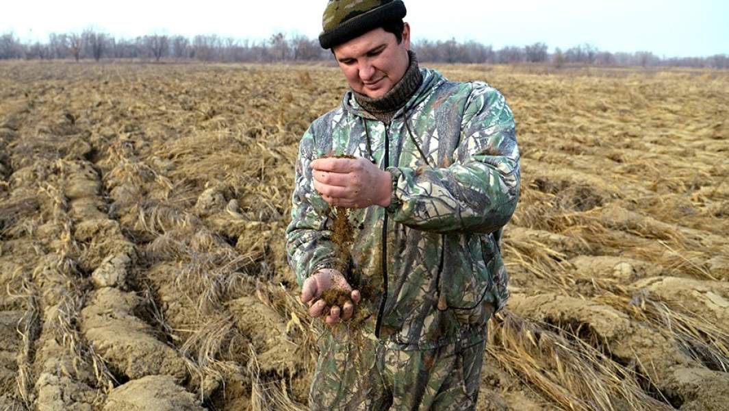 Гектар хабаровск. Фермерство на Дальнем востоке. Гектарщики. Бесплатно гектар в Хабаровске. Фермер на дални васточном.