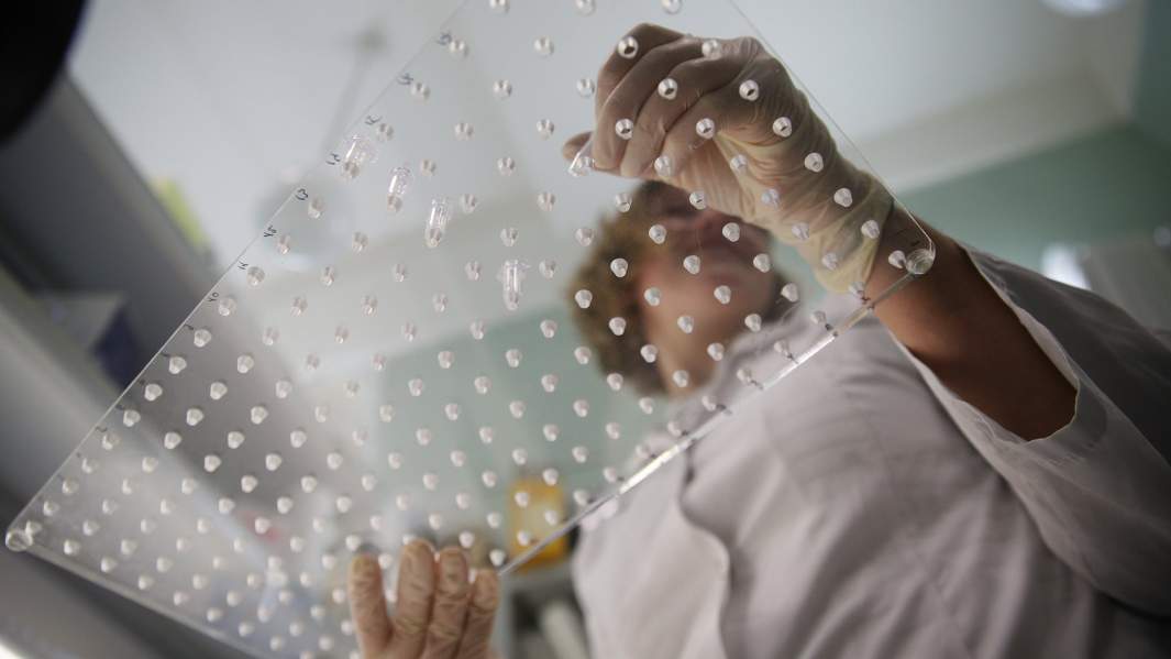 Разбор генома: создан дешевый метод диагностики ДНК