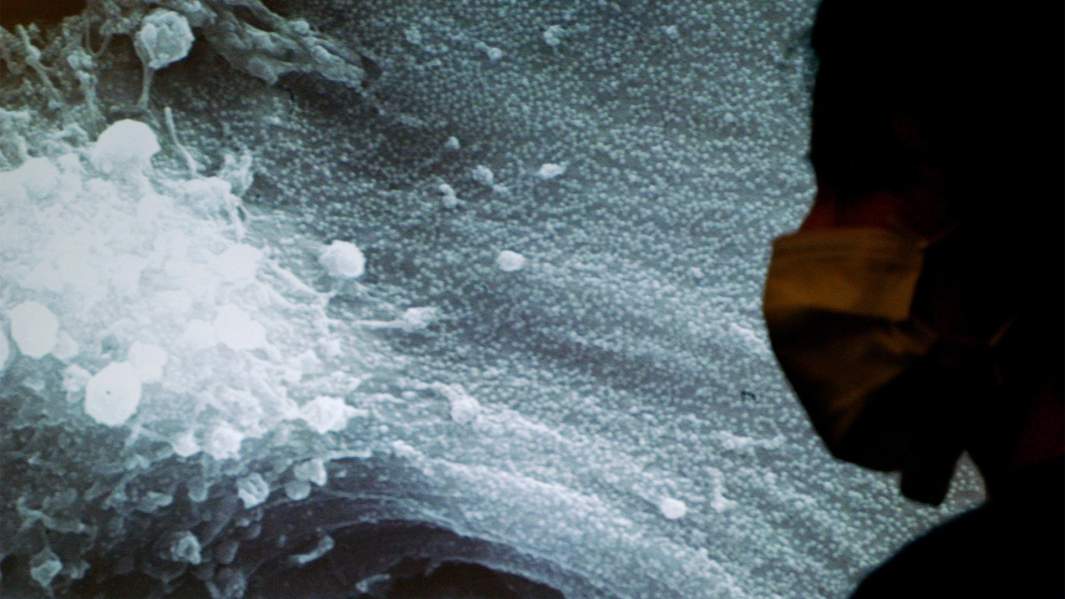 коронавирус китай италия