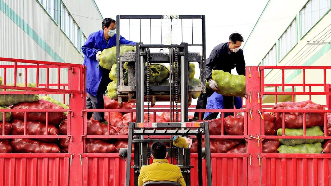 Экспорт овощей