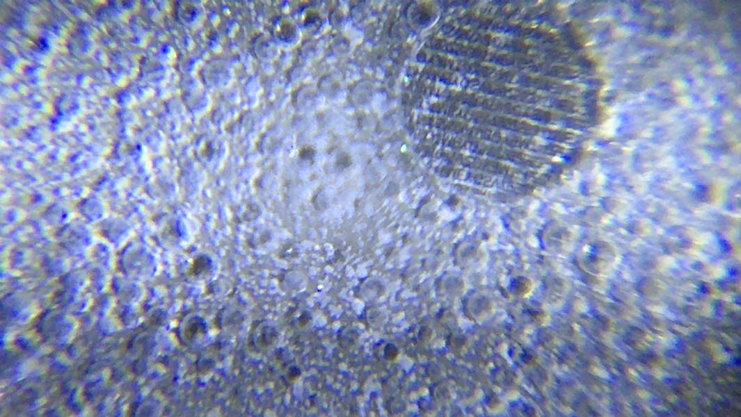 Идентификатор T-Mark и L-Mark