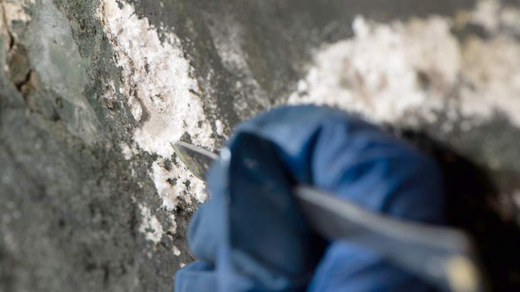 собор успенский реставрация  москва