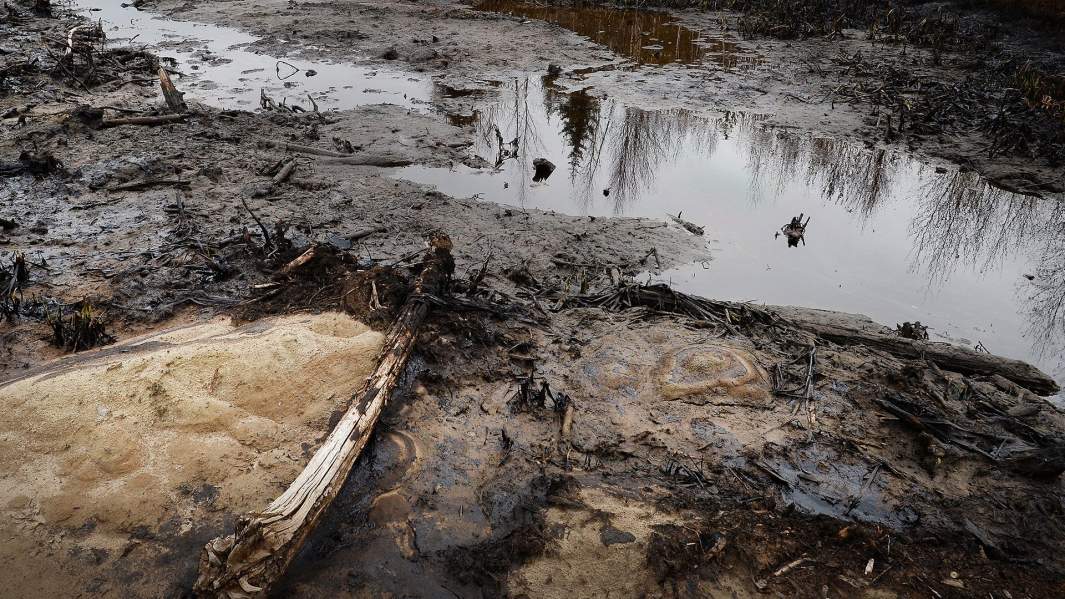 Последствия разлива нефти на местонахождении 