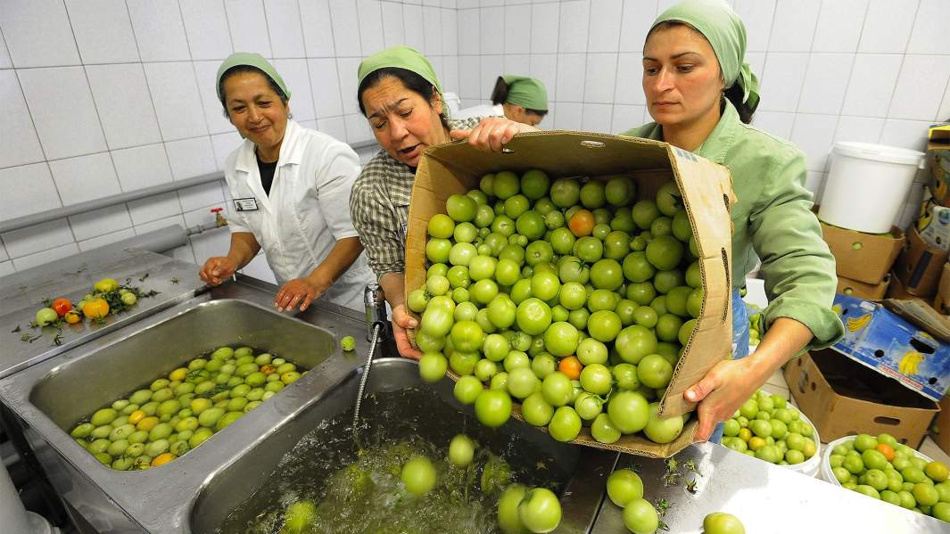 колония фсин труд