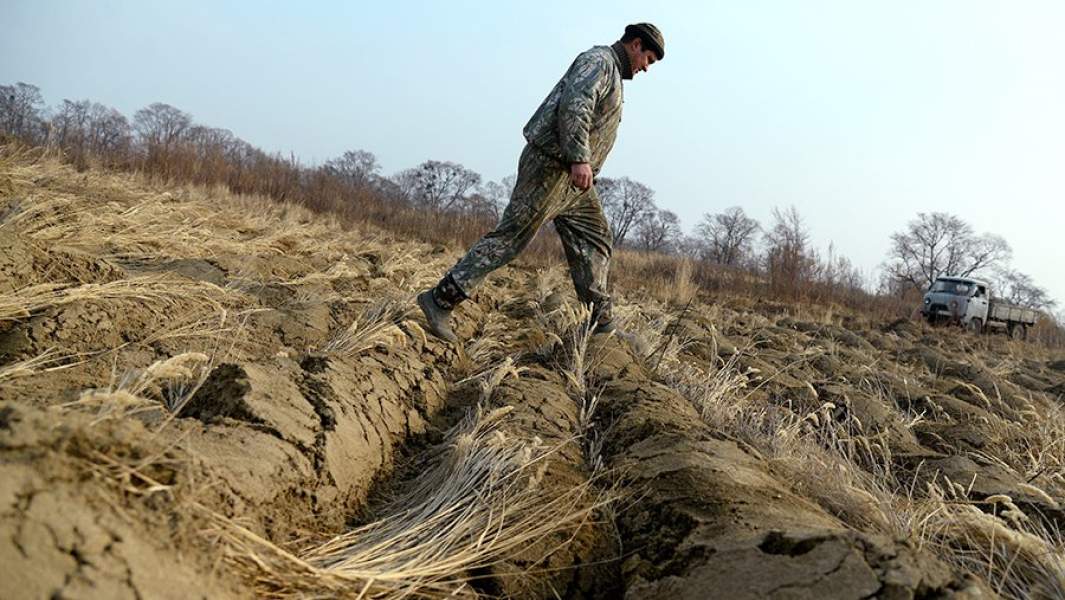 Фермер Иван Панин на своем участке