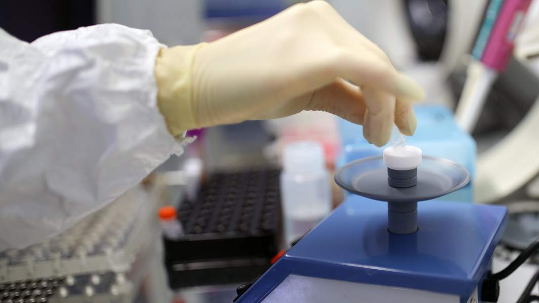 Тест-система для диагностики нового коронавируса