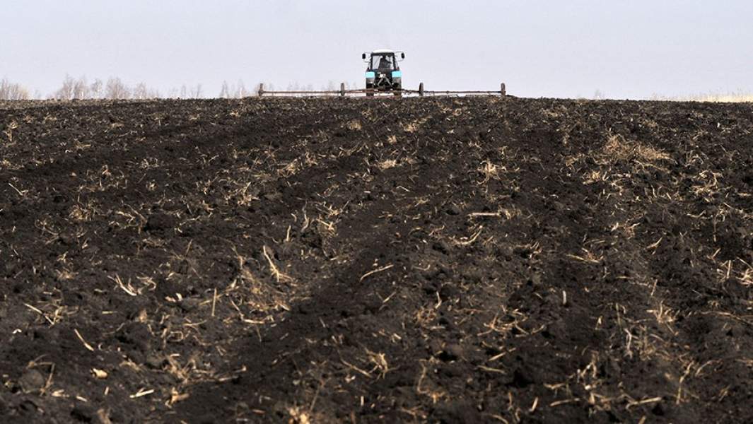 Подготовка к севу на полях в Воронежской области