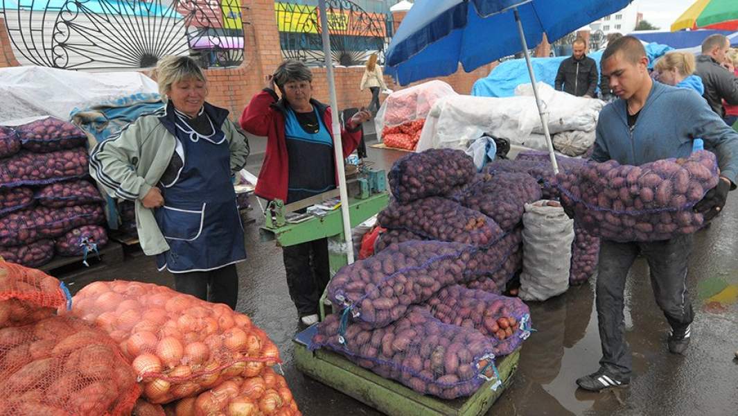Торговля на сезонном рынке по продаже сельскохозяйственных продуктов для фермерских хозяйств