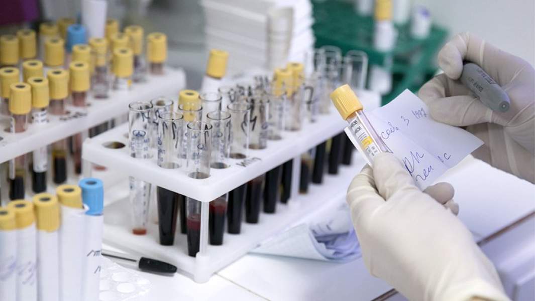 Лаборатория 