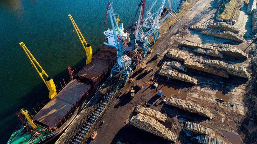 Экспорт древесины