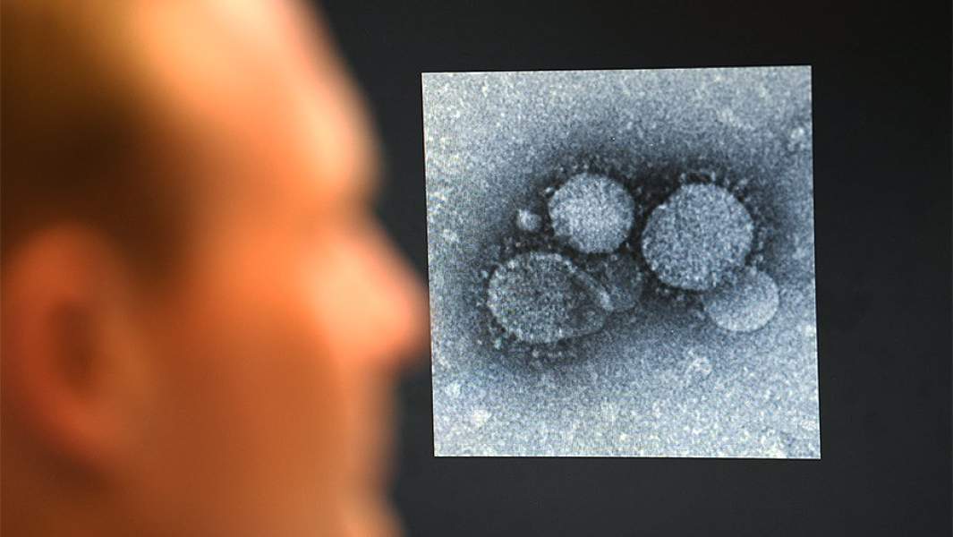 коронавирус микроскоп исследование