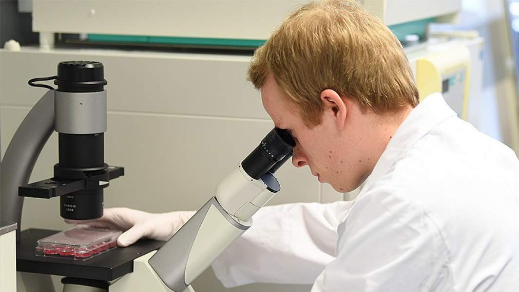 ученый микроскоп коронавирус исследование