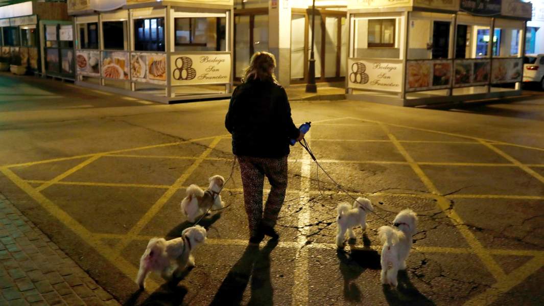 собака испания