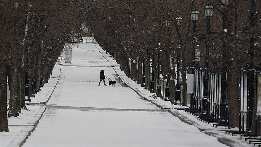 москва коронавирус