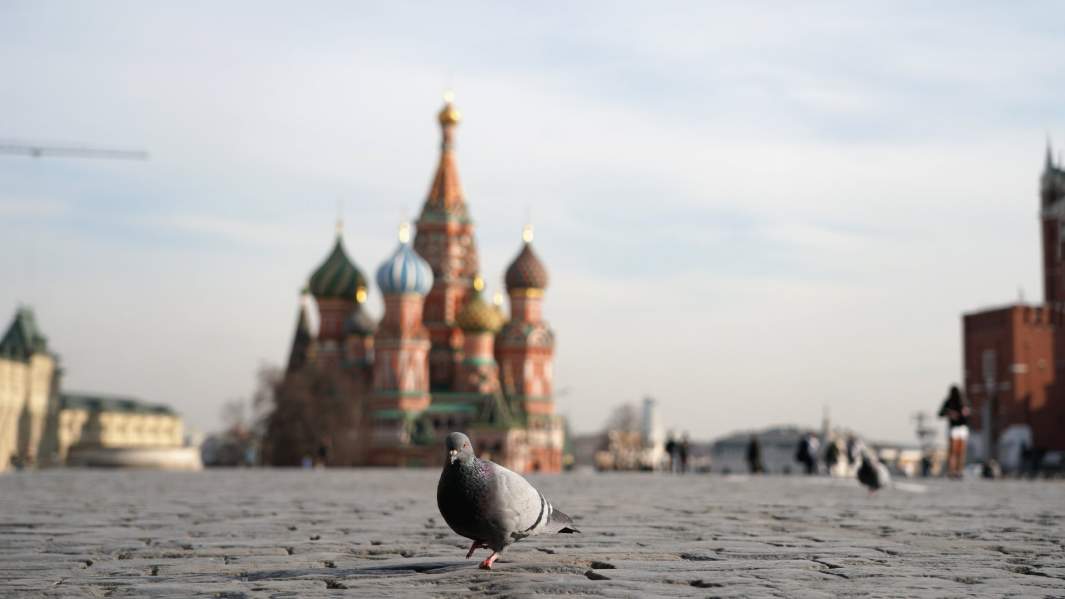 красная площадь 