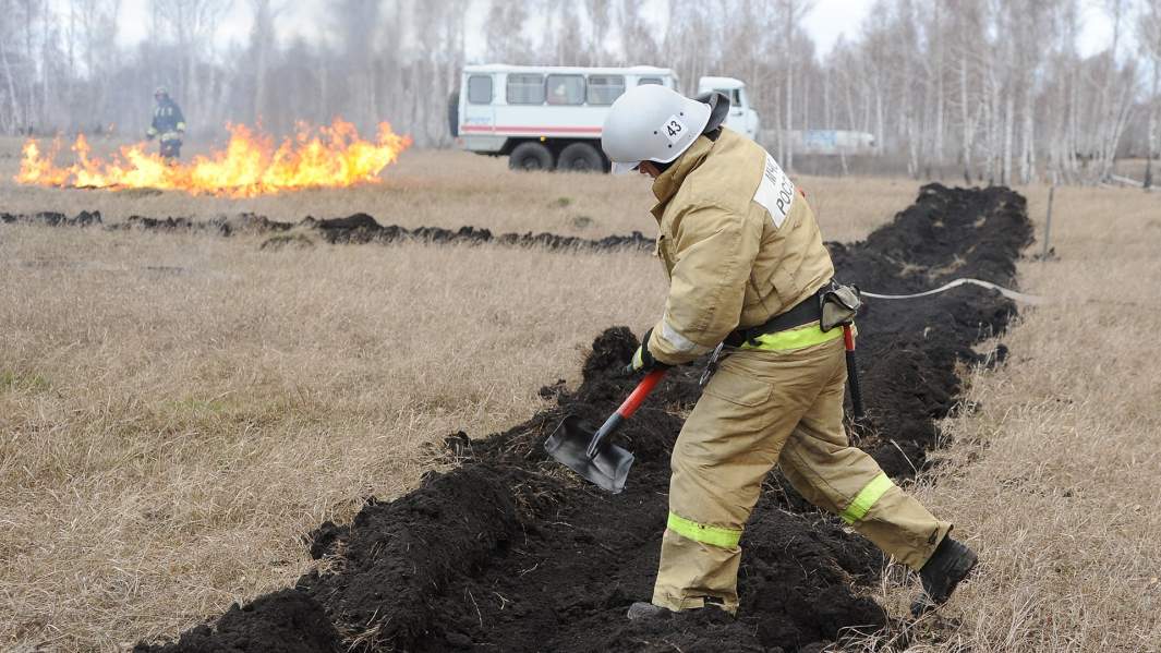 Сотрудник МЧС во время учений по ликвидации лесных пожаров