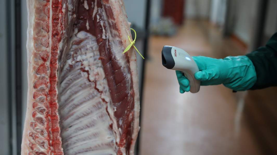 мясоперерабатывающий комбината