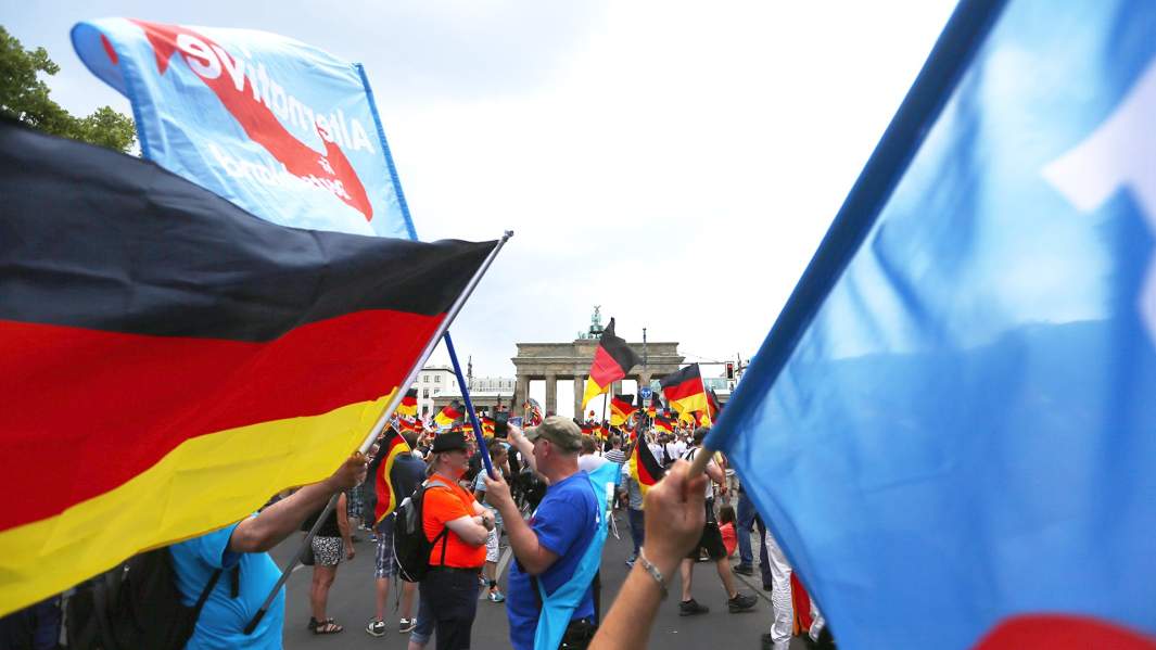 Сторонники партии «Альтернативы для Германии»