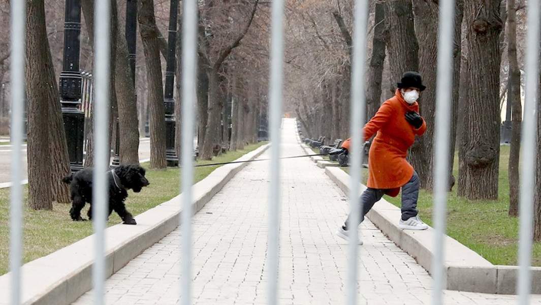 Женщина и собака