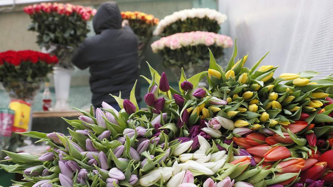 цветы продажа  праздник