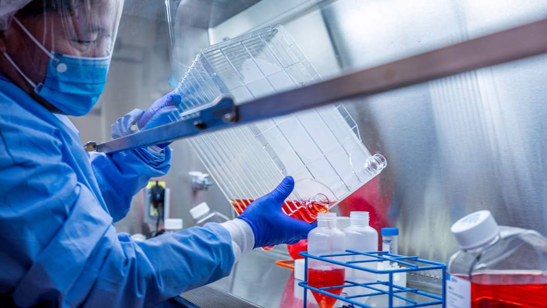  Разработка вакцины в Университете Питтсбурга, штат Пенсильвания, США