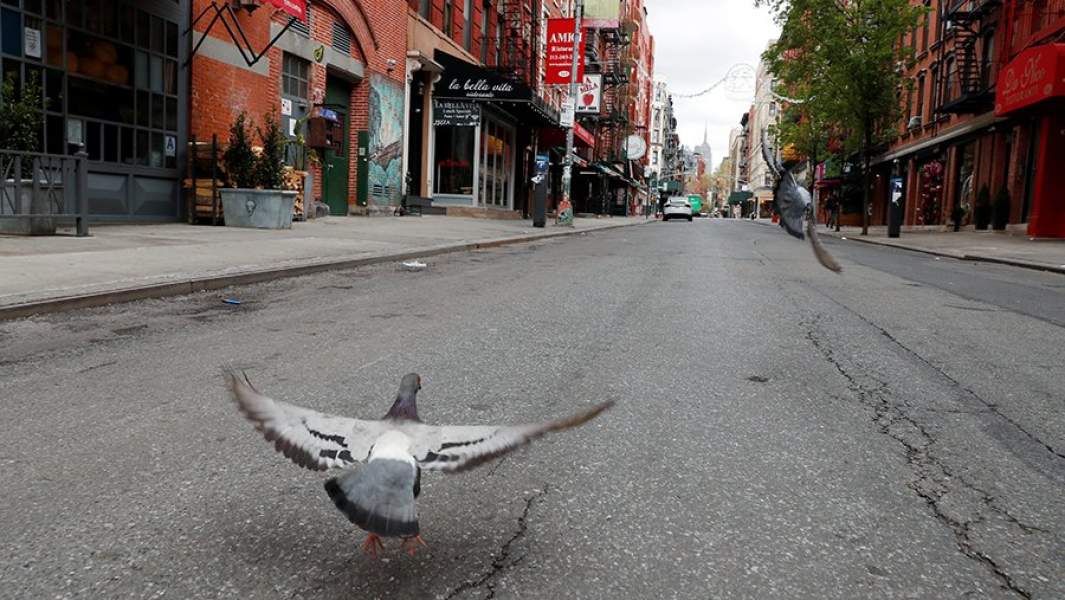 Пустые улицы Нью-Йорка 