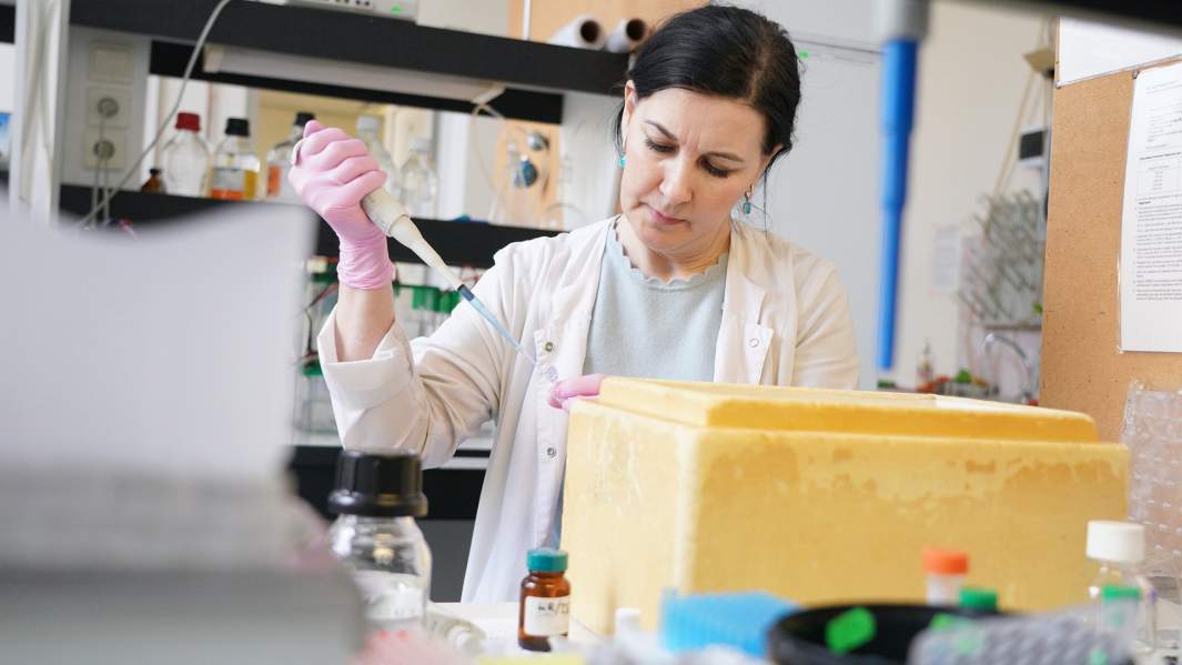 Исследование