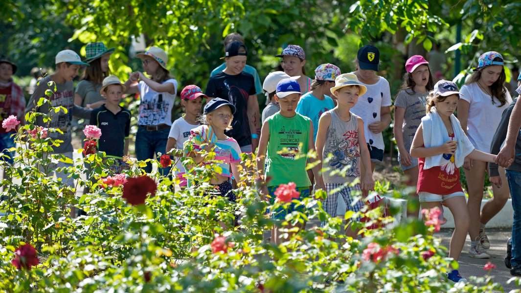 отдых дети лагерь